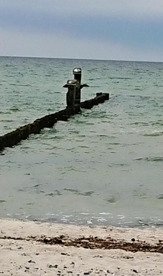 Ferienwohnung "Juliette" Zingst Luaran gambar