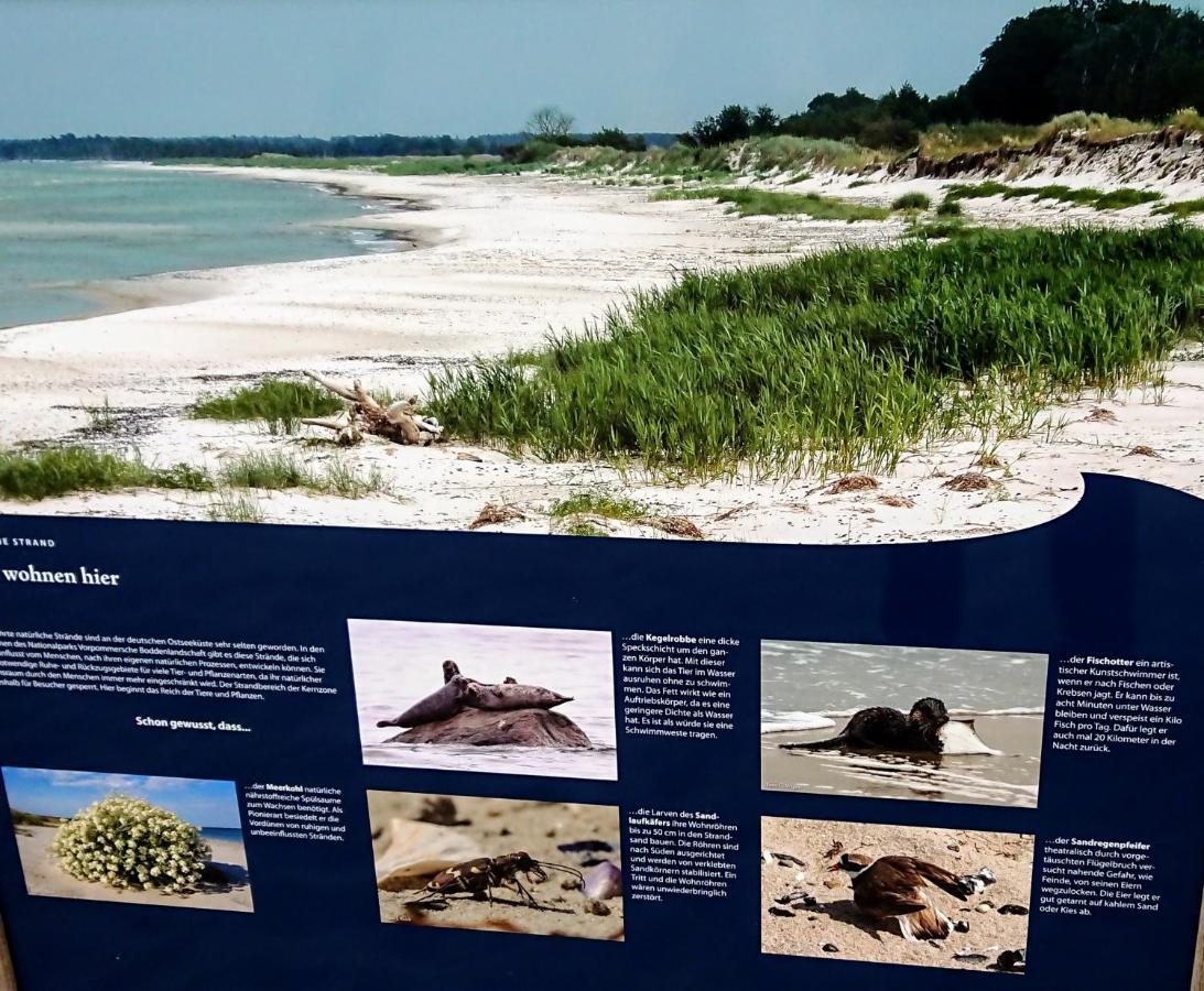 Ferienwohnung "Juliette" Zingst Luaran gambar