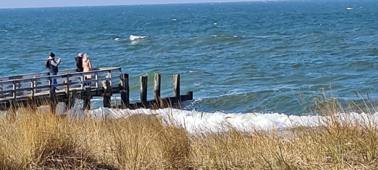 Ferienwohnung "Juliette" Zingst Luaran gambar